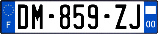 DM-859-ZJ