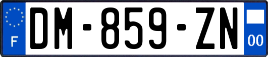 DM-859-ZN