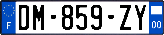 DM-859-ZY