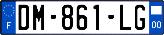 DM-861-LG
