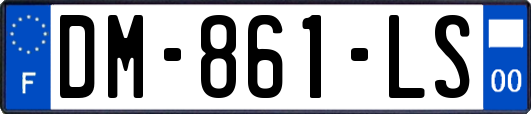 DM-861-LS