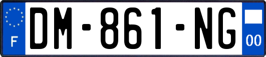 DM-861-NG