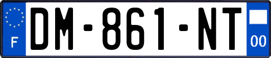 DM-861-NT