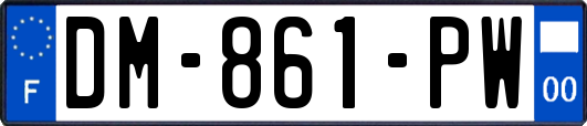 DM-861-PW