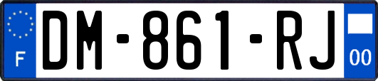 DM-861-RJ
