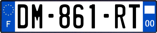 DM-861-RT