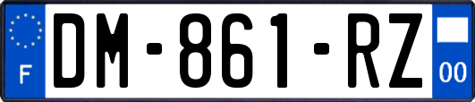 DM-861-RZ