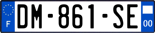 DM-861-SE