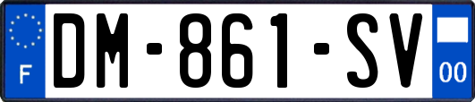 DM-861-SV