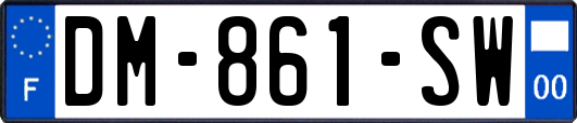 DM-861-SW