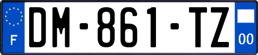 DM-861-TZ