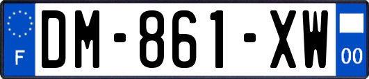 DM-861-XW