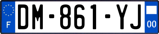 DM-861-YJ