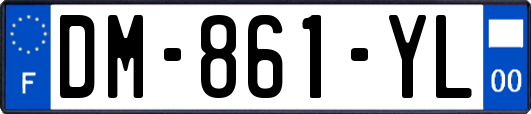 DM-861-YL