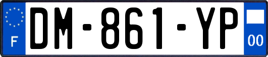 DM-861-YP