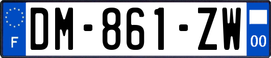 DM-861-ZW