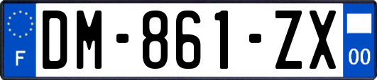 DM-861-ZX