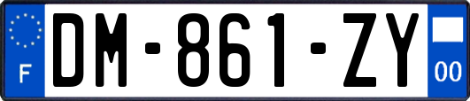 DM-861-ZY