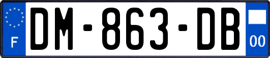 DM-863-DB