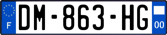 DM-863-HG