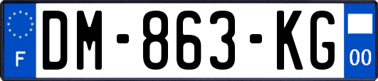 DM-863-KG