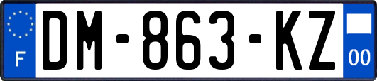 DM-863-KZ