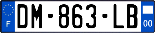 DM-863-LB
