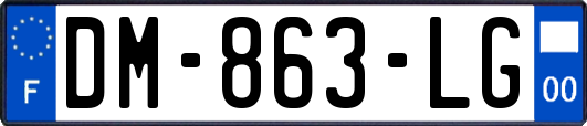 DM-863-LG
