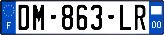 DM-863-LR