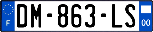 DM-863-LS