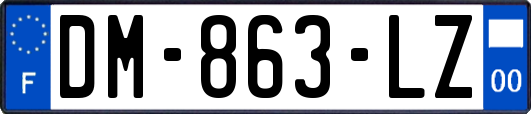 DM-863-LZ