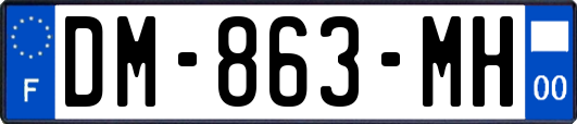 DM-863-MH