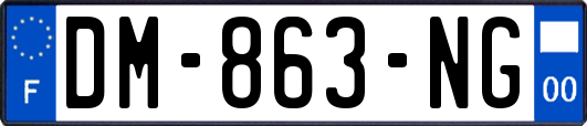 DM-863-NG