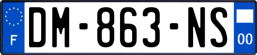 DM-863-NS