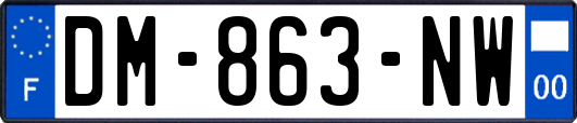 DM-863-NW