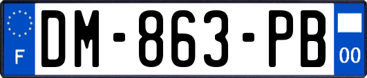 DM-863-PB