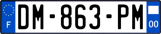 DM-863-PM