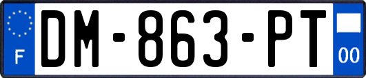 DM-863-PT
