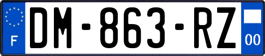 DM-863-RZ