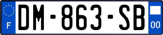 DM-863-SB