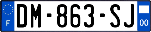 DM-863-SJ