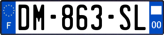 DM-863-SL