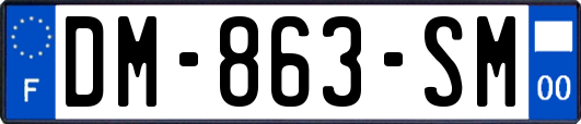 DM-863-SM