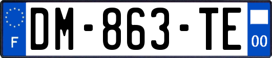 DM-863-TE
