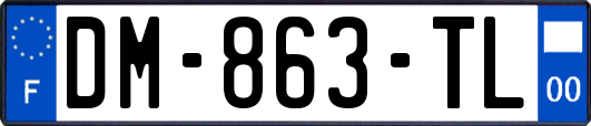 DM-863-TL