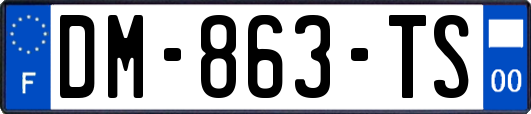 DM-863-TS