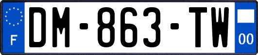 DM-863-TW