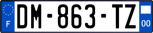 DM-863-TZ
