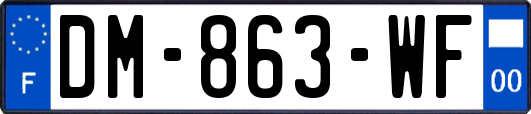 DM-863-WF