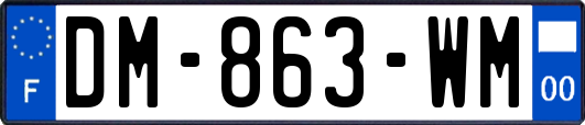 DM-863-WM